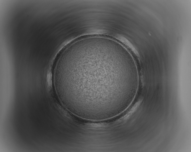 X0000102310781200808011422