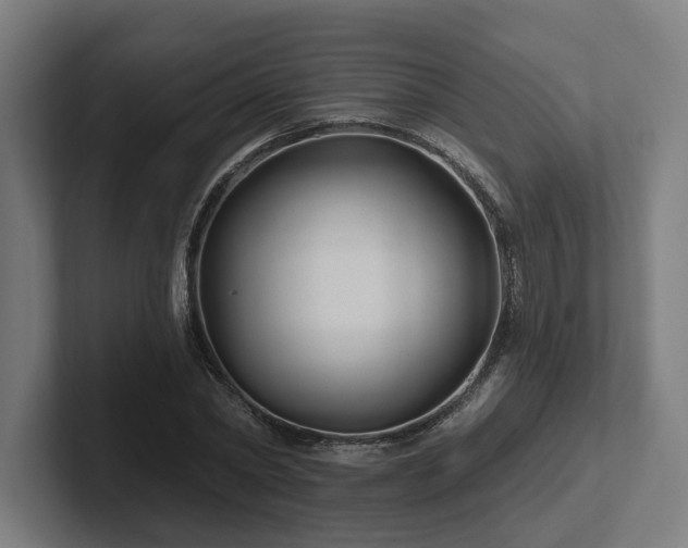 X0000102310782200808011422