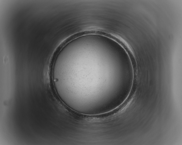 X0000102310783200808011422