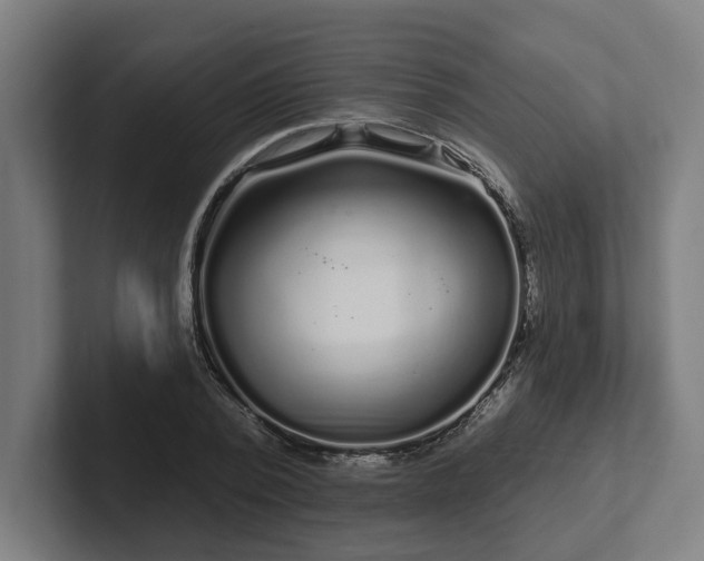 X0000102310784200808011422