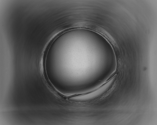 X0000102310788200808011422