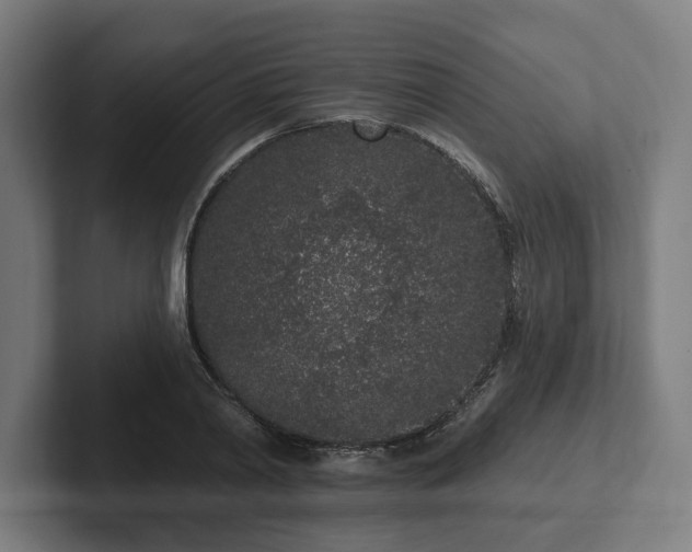 X0000102310790200808011422