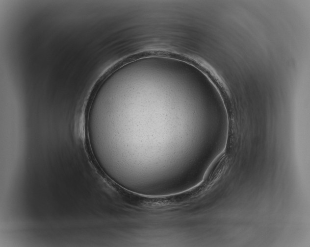 X0000102310791200808011422