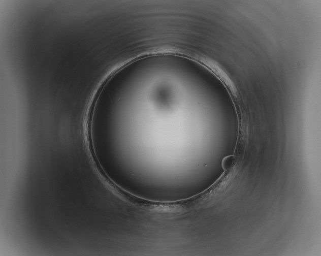 X0000102310805200808011421