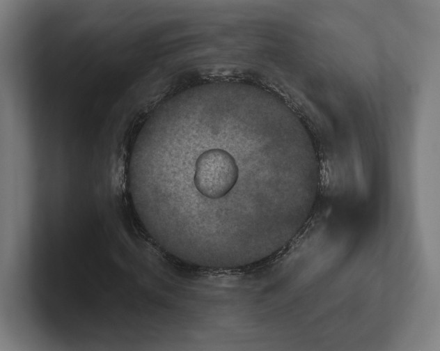 X0000102310820200808011421