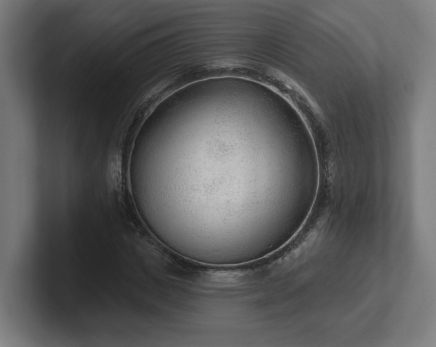 X0000102310825200808011421