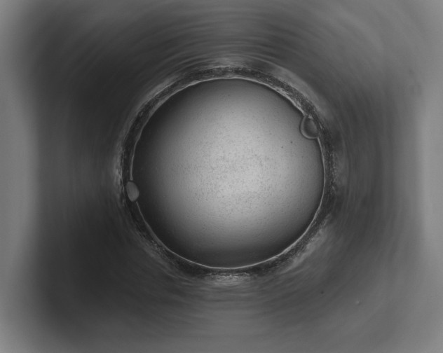 X0000102310826200808011421