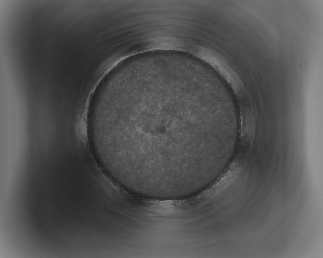 X0000102310828200808011421