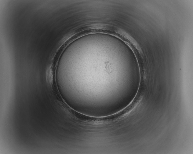 X0000102310829200808011421