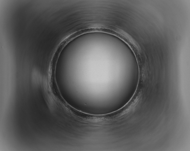 X0000102310831200808011421