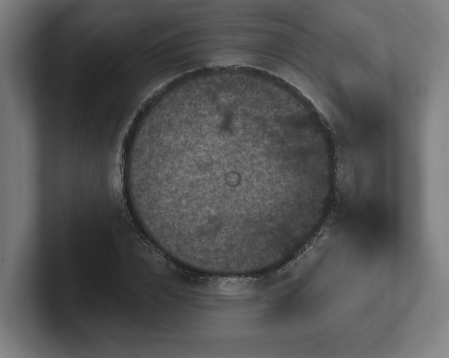 X0000102310832200808011421