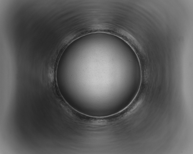 X0000102310833200808011421