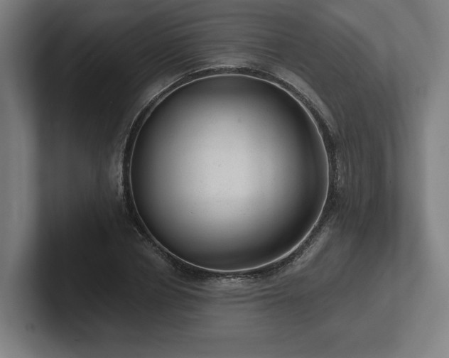 X0000102310834200808011421