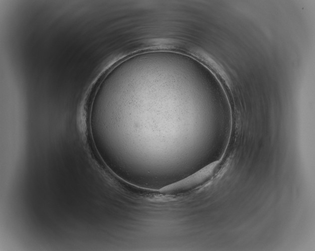 X0000102310835200808011421