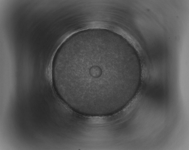 X0000102310836200808011421