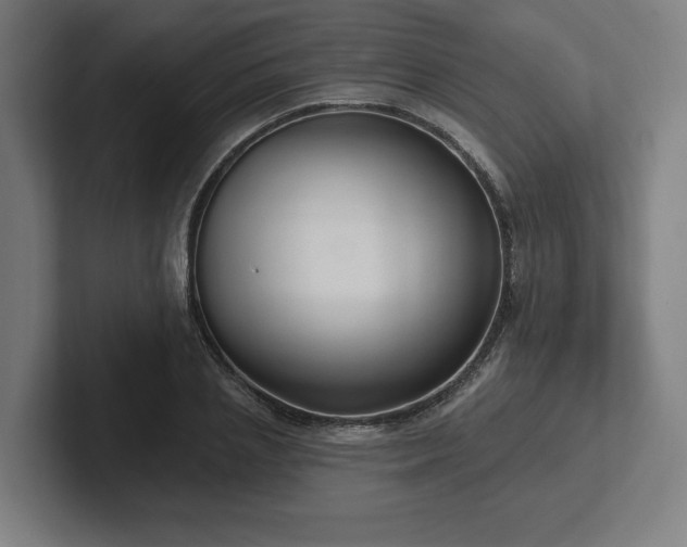 X0000102310837200808011421