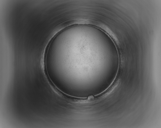 X0000102310845200808011421