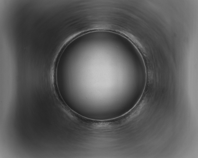 X0000102310846200808011421