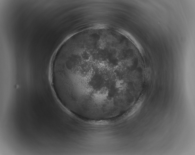 X0000102310851200808011421