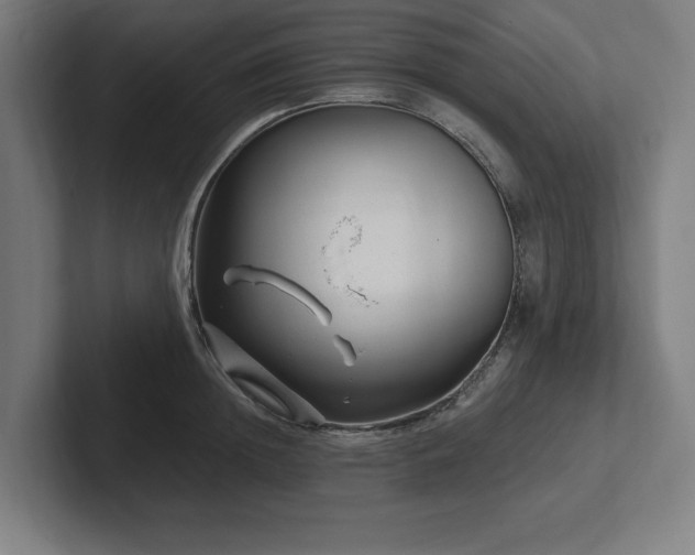 X0000102310852200808011421