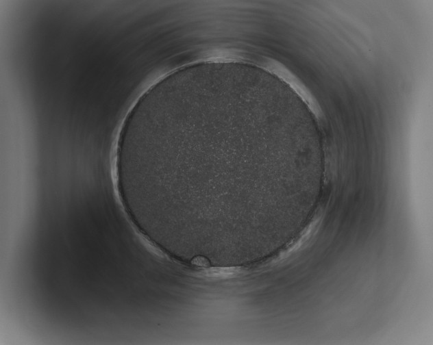 X0000102310853200808011421