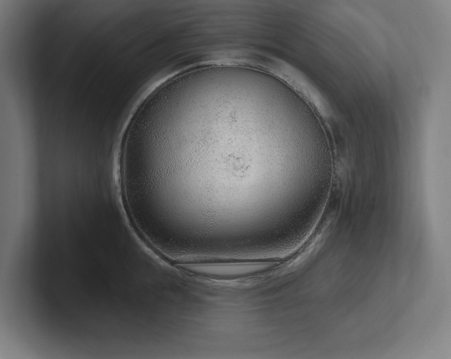 X0000102310855200808011421