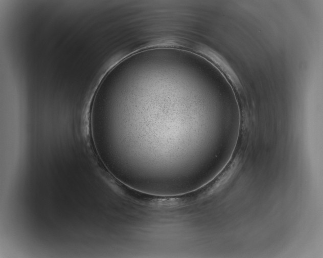 X0000102310858200808011421