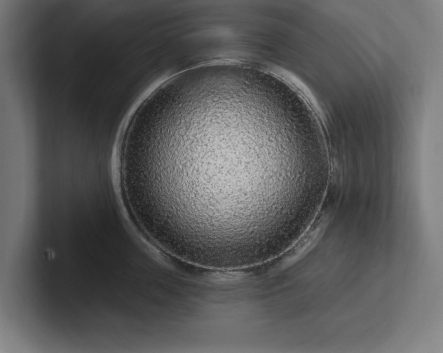 X0000102310859200808011421