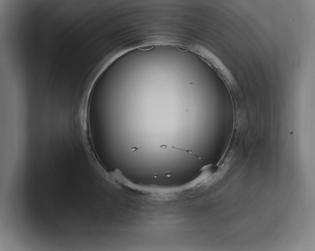 X0000102310860200808011421