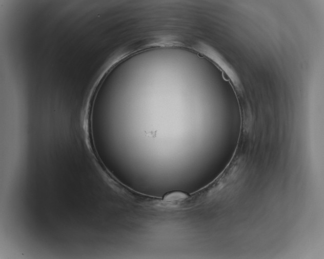 X0000102310861200808011421