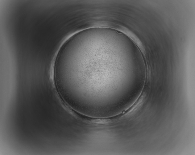 X0000102310862200808011421