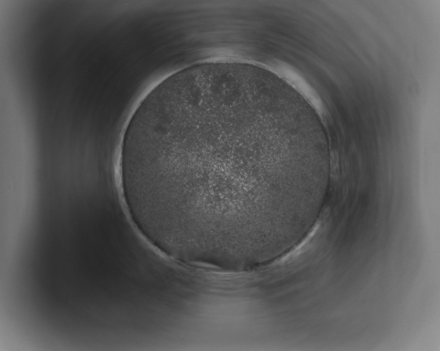 X0000102310863200808011421