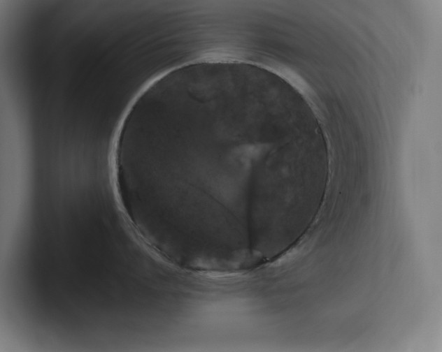 X0000102310864200808011421