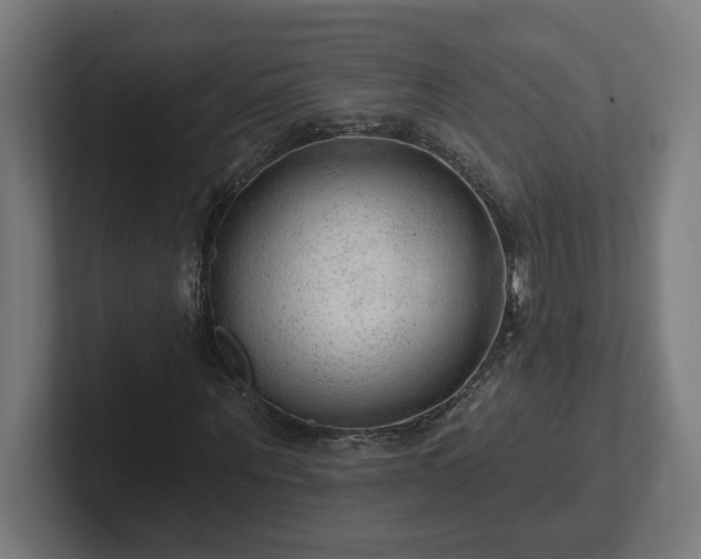 X0000102310867200808011421