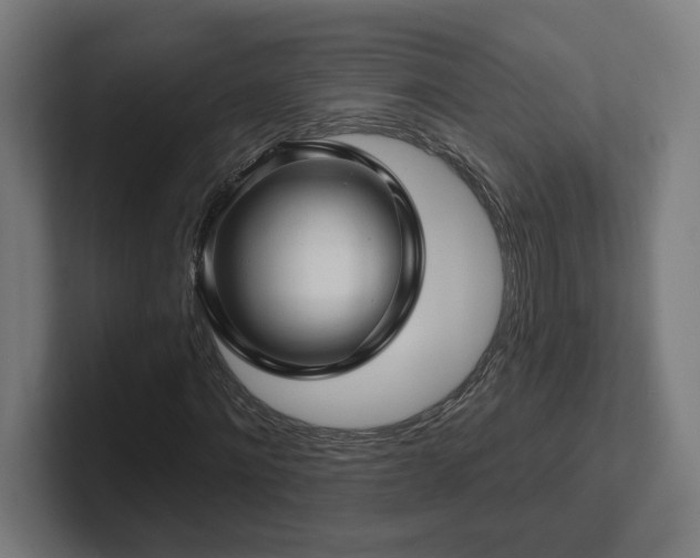 X0000102310868200808011421