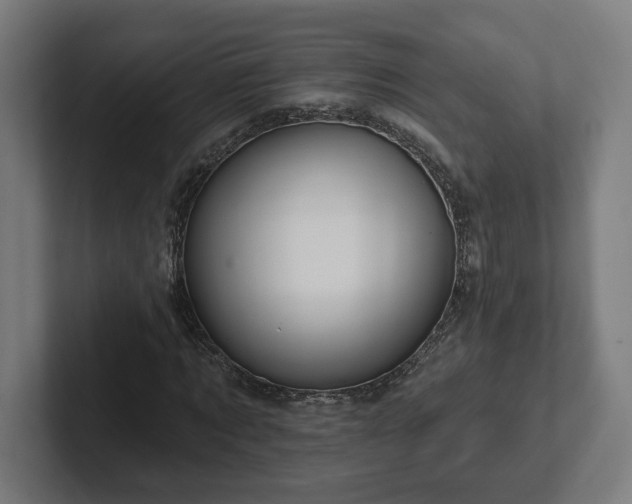 X0000102310869200808011421