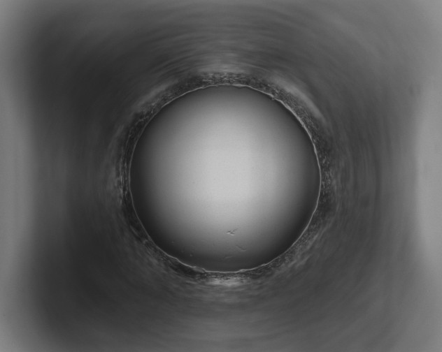 X0000102310870200808011421