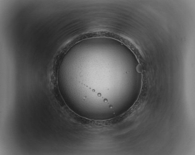 X0000102310871200808011421