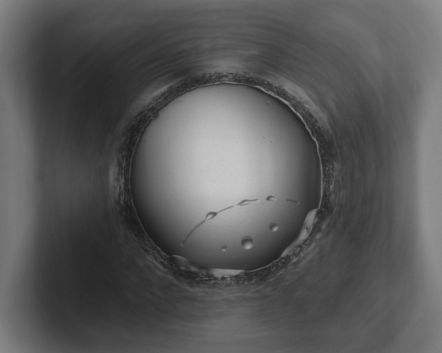 X0000102310872200808011421