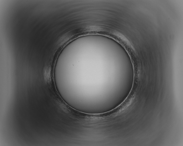 X0000102310873200808011421