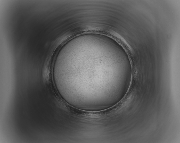 X0000102310874200808011421