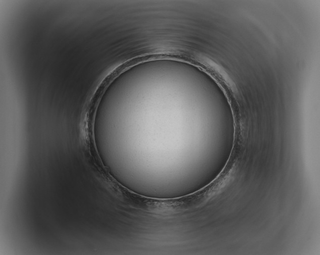 X0000102310875200808011421