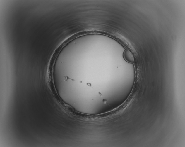 X0000102310876200808011421