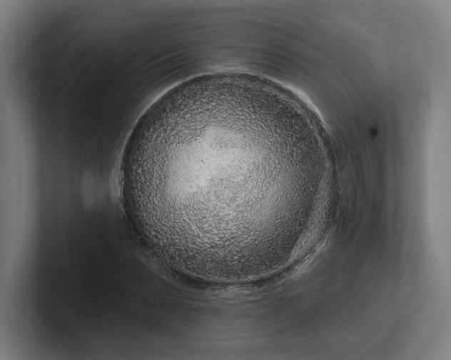 X0000102310879200808011421