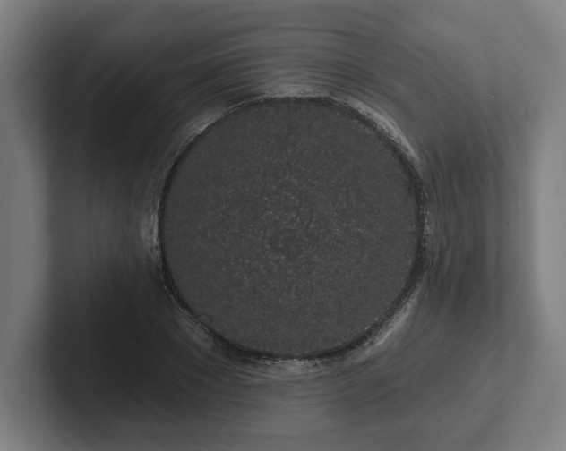 X0000102310881200808011420