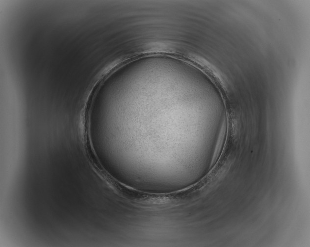 X0000102310882200808011420