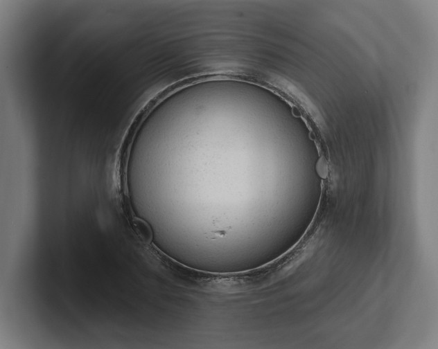 X0000102310883200808011420