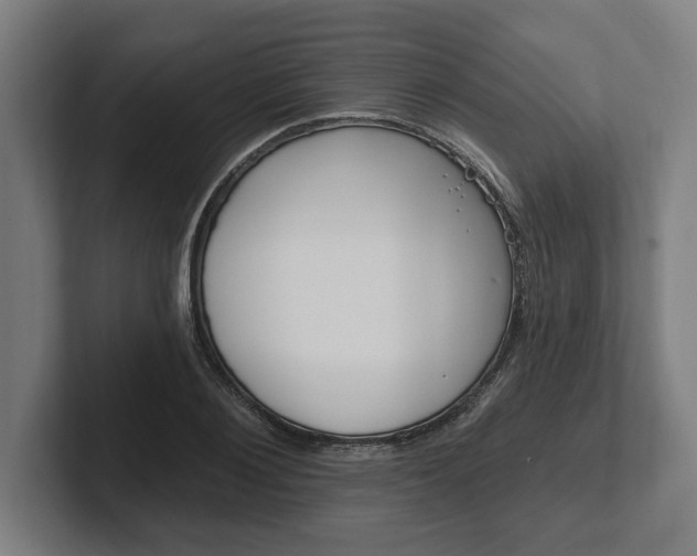 X0000102310884200808011420