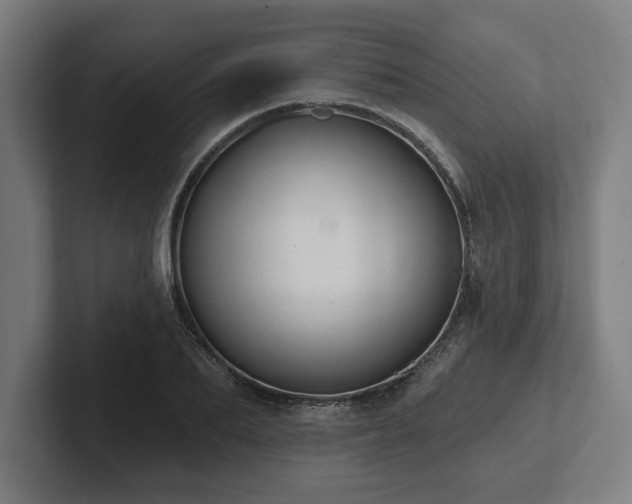 X0000102310887200808011420