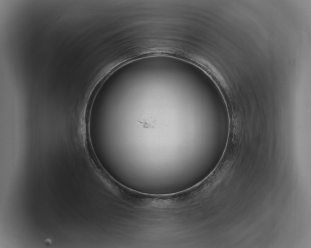 X0000102310890200808011420